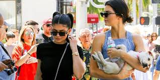 Kylie Jenner S Dogs Are Lashing Out After She Kicked Them Out