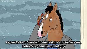 When Bojack Displayed Our Deepest Collective Insecurity Bojack Horseman Horseman Cartoon