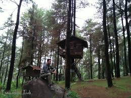 We did not find results for: Rumah Pohon Taman Dayu