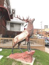 115 Years in the Making Local Elks looking to revitalize reputation, grow