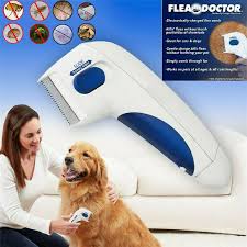 How to choose the best cat carrier for your favorite feline. Flea Doctor Electric Flea Comb Great For Dogs Cats Pet Brush Anti Tick Control Dog Grooming Brushes Combs Rakes Pet Supplies Worldenergy Ae