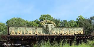 Джон уэллс (ii), дэвид родригес, кристофер чулак и др. 11 Things To Know Before You Go To Disney S Animal Kingdom Disneylists Com