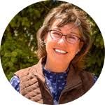 Is Mycoplasma bovis maintained in Wyoming pronghorn antelope (Antilocapra  americana) reservoirs?