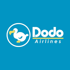Dodo Airlines Boarding Pass Generator Animal Crossing Video Game Wall Art Canvas Prints