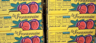 La Frontonnaise Fruits De Qualite Vendus En Direct