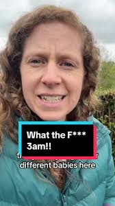 Baby Grunts and Lifts Legs in Sleep