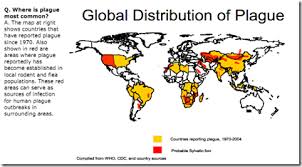 Bubonic Plague Bubonic Plague Plague Black Death