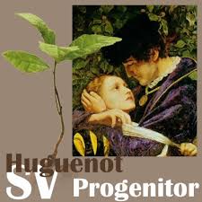 List of huguenots embarking from france huguenot heritage ship lists coertzen, pieter. Pierre Cronje Sv Prog 1 1671 1718 Genealogy