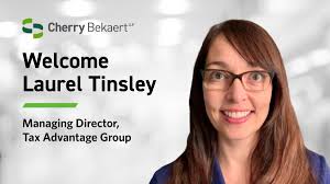 Laurel Tinsley Brings Strategic Experience to Tax Advantage Group by Cherry  Bekaert