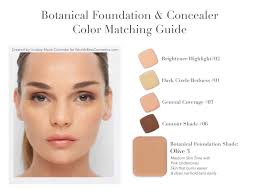 Olive 3 Foundation With Coordinating Concealers Concealer Colors Botanical Foundation Foundation Concealer