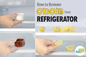 If it's strange i have probably seen it. How To Remove Odor From Refrigerator Refrigerator Smells Refrigerator Odor Fridge Smells
