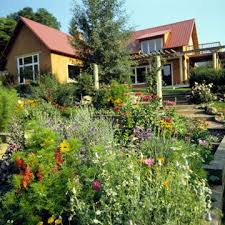 Gardening In The Mountain West Colorado Landscaping Desert Landscaping Small Space Gardening