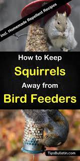 Not to mention, it was a great exercise for her too. 12 Crafty Ways To Keep Squirrels Away From Bird Feeders Squirrel Proof Bird Feeders Bird Feeders Bird Feeder Poles