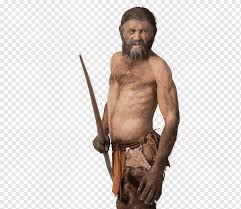 Neandertal perfume as a way to explore the analogies between the lingering echoes of our past and that of olfactory resonance. Eismann Otzi Neandertal Mumie Homo Sapiens Andere Alpen Archaologie Arm Png Pngwing