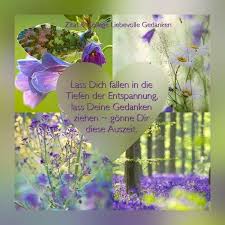 Pin Von Ruth Bonn Auf Positive Zitate Liebevolle Gedanken Positive Gedanken Spruche Gedanken Spruche