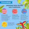Setiap neuron terdiri atas inti dan jaringan (perpanjangan sel). Https Encrypted Tbn0 Gstatic Com Images Q Tbn And9gcqlfobhzbdth0zlxya8msuydo8n Twpe99bwvrfjyp1n0aydyl3 Usqp Cau