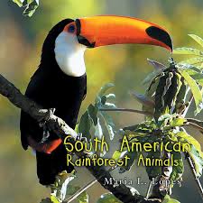 Some of them are dangerous even to humans. South American Rainforest Animals Lopes Maria L 9781468578737 Amazon Com Books