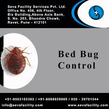 Expert recommended top 3 pest control services in mumbai, maharashtra. Bed Bug Control At Seva Facility Services Head Office Is At Pune Maharashtra India Branches At Mumbai Au Bed Bug Control Pest Control Flea Prevention