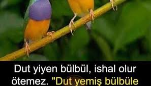 Ne Nedir Ne Panosundaki Pin