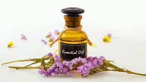 >80% items are new · buy it now available · huge savings Comment Traiter Ses Punaises De Lit De Facon Naturelle Punaises Expert