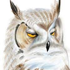 Geilen Geilen5345 - Profile Pinterest