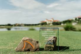 Image result for Cobalt Blue 2001 Tiburon