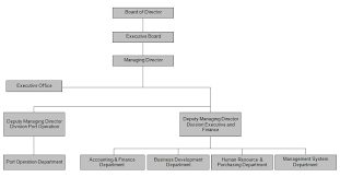 43 skillful co director org chart