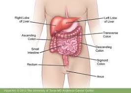 Read about colon cancer symptoms during stage 1, stage 2, stage 3 and stage 4 of the disease that include blood in stool, changes in bowel habits. Colorectal Colon Cancer Symptoms Risk Factors Md Anderson Cancer Center