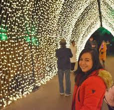 Our Visit To Lightscape At Chicago Botanic Garden Floradise Chicago Botanic Garden Botanical Gardens Chicago