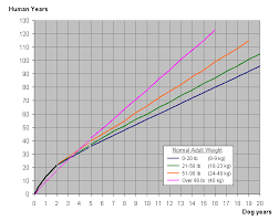 54 veritable dog longevity chart