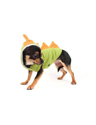 Cute animals in halloween costumes your comprehensive guide to dog and cat halloween costumes. 35 Best Dog Costumes For Halloween 2021 Cute Funny Halloween Costume Ideas For Puppies