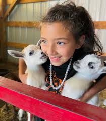 We are thrilled to share that our farm has welcomed adorable baby goats and  an impressive selection of pumpkins this year. In addition to our famous  corn maze and various fall festivities,