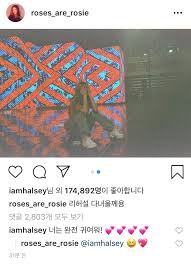 Halsey, bunun ardından bir yandan türkçe öğrenmeye bir yandan da baklava yapmaya çalıştığını da sosyal medyadan ilan etmişti. Halsey Memuji Rose Blackpink Di Instagram Begini Katanya