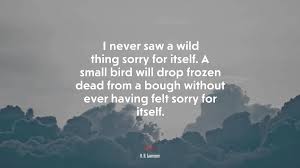 Check out our wild things quote selection for the very best in unique or custom, handmade pieces from our digital prints shops. 690795 I Never Saw A Wild Thing Sorry For Itself A Small Bird Will Drop Frozen Dead From A Bough Without Ever Having Felt Sorry For Itself D H Lawrence Quote