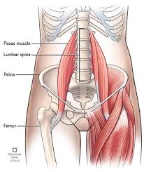 Psoas Syndrome Symptoms Causes Treatment