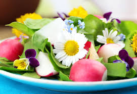 The right flower bulbs will produce bright and fragrant flowers. 18 Best Edible Flowers In Cooking Cuisinevault