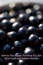 Black Currant Oil For Hair Loss Best Dosage Benefits Oil For Hair Loss Black Currant Oil Hair Loss Remedies Women
