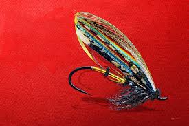 Normally, larger fish require big long lasting hooks, and small species need small hooks. Fully Dressed Salmon Fly The Jock Scott Digital Art By Serge Averbukh