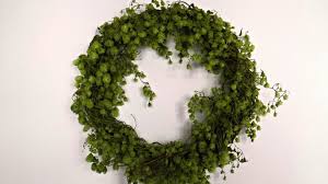 Kranz Mit Hopfenranken Binden Anleitung Deko Ideen Mit Flora Shop Weihnachten Dekoration Haus Dekoration Deko