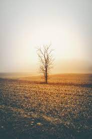 Use them in commercial designs under lifetime, perpetual & worldwide rights. Portrait Nature Wallpapers Wallpaper Cave