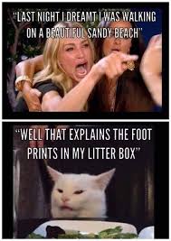 So That S Why Really Funny Memes Funny Memes Images Funny Jokes To Tell