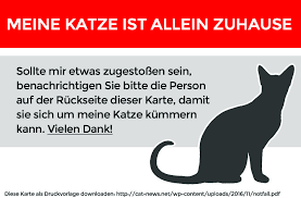 Eine notfallkarte bei ihren persönlichen dokumenten (personalausweis, führerschein, kreditkarten usw.) sorgt dafür, dass ihrem tier. Die Notfallkarte Fur Alleinstehende Katzenhalter Hier Kostenfrei Ausdrucken Cat News Net