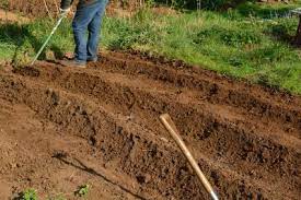 How To Till Soil Without A Tiller Lovetoknow