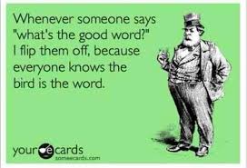 Bird Bird Bird Is The Word Song Family Guy Ecards Cool Words Funny Quotes Humor