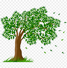 This transparency is a big advantage for using as picture in png format. Tree Transparent Clipart Picture Transparent Background Tree Clipart Png Image With Transparent Background Toppng