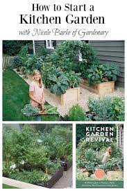 Kitchen Garden Basics How To Start Growing Food Today Kitchen Garden Gardening Techniques Growing Food