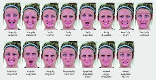 Send feedback affiliate identification about terms privacyimages may be subject to copyright. Fifteen Compound Facial Expressions Shown Here Are The Fifteen Download Scientific Diagram