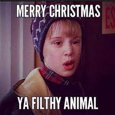 50 Clean Christmas Memes Merry Christmas Meme Funny Merry Christmas Memes Christmas Quotes Funny