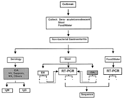 Oct 16, 2018 · overview viral gastroenteritis is an intestinal infection marked by watery diarrhea, abdominal cramps, nausea or vomiting, and sometimes fever. Diagnosis Of Noncultivatable Gastroenteritis Viruses The Human Caliciviruses Clinical Microbiology Reviews