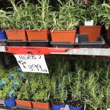 Maybe you would like to learn more about one of these? The Best 10 Nurseries Gardening Near The Home Depot In Toronto On Yelp